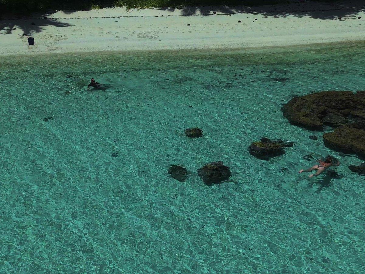 浅瀬に広がるサンゴの根とターコイズの海