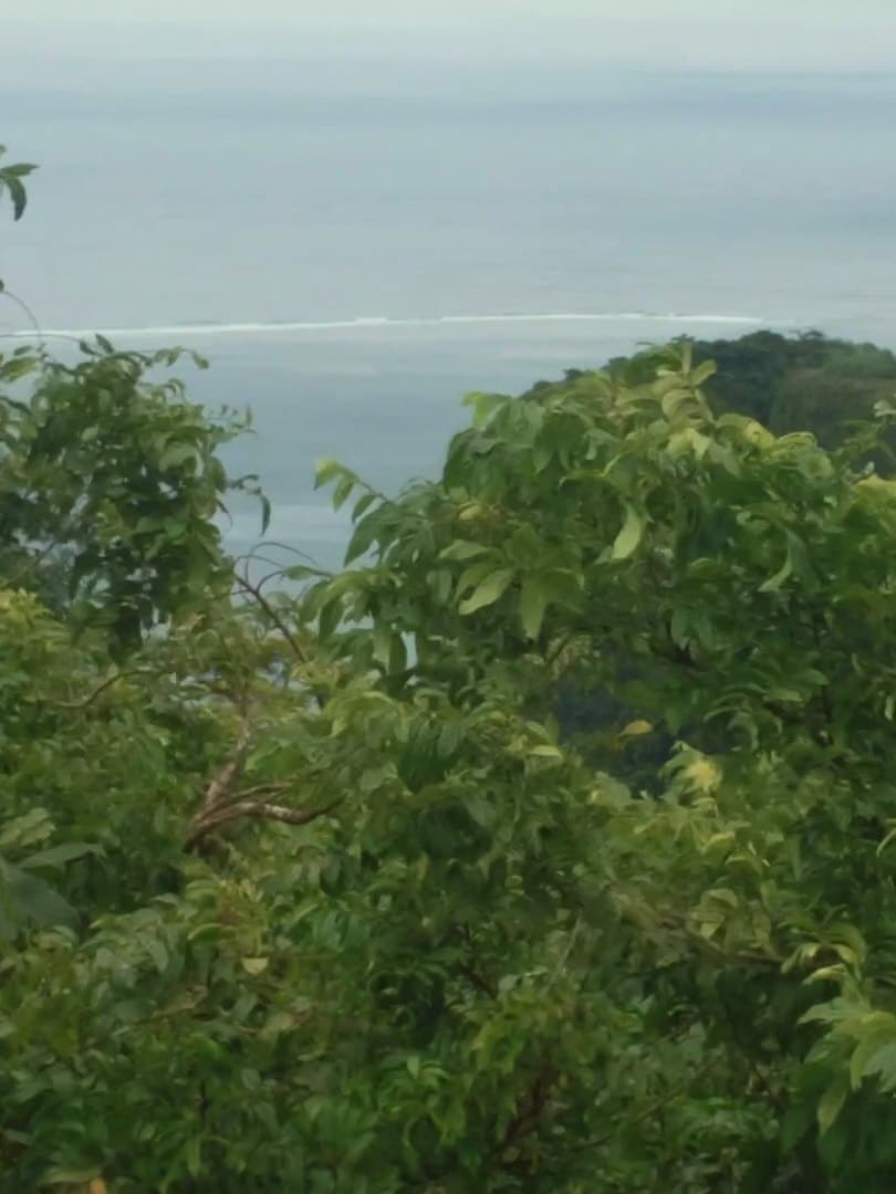 樹海の向こうに顔を出すソケース岩と、白く砕けるリーフ